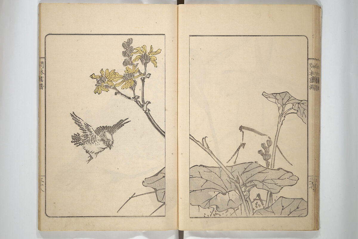 Kanrin Picture Album (Kanrin gafu) 閑林画譜, Okada Kanrin 岡田閑林 (Japanese, 1775–1849), Set of two woodblock printed books; ink and color on paper, Japan 