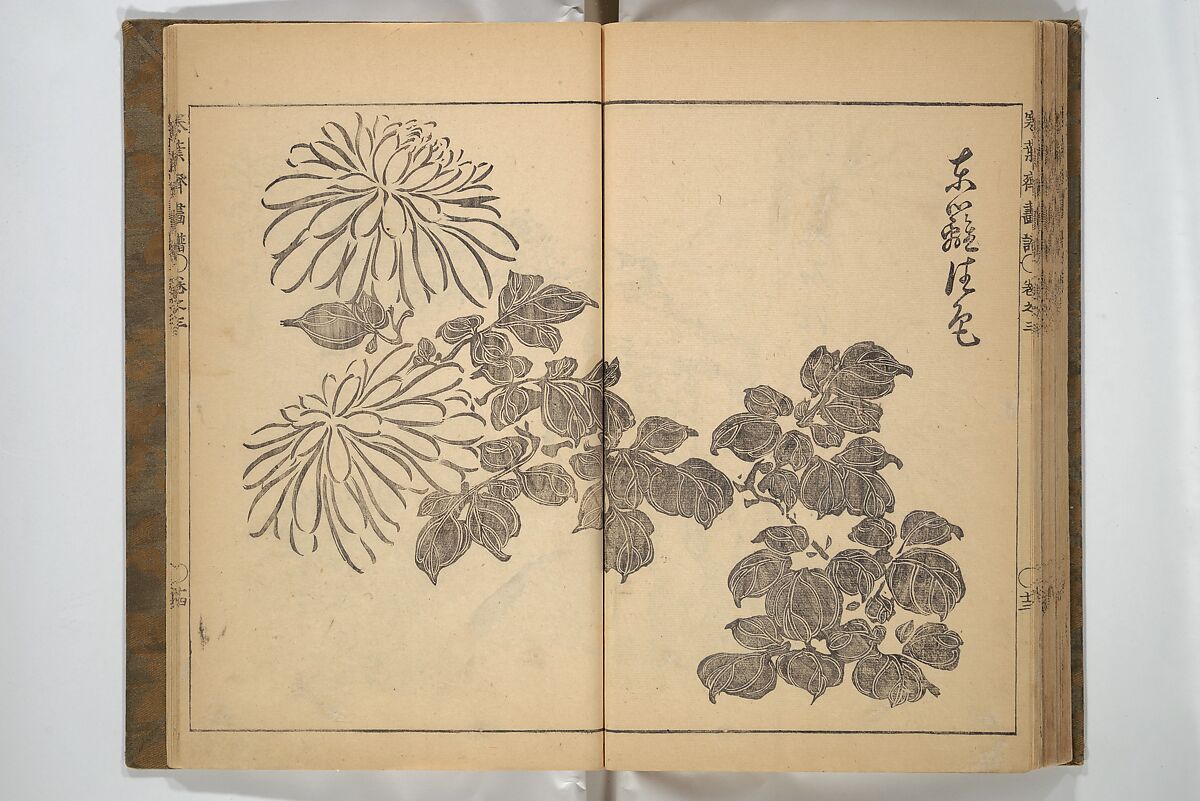 Kan'yōsai Picture Album (Kan'yōsai gafu) 寒葉斎画譜, Kan'yōsai 寒葉斎 (Tatebe Ayatari 建部綾足) (Japanese, 1719–1774), Set of three woodblock printed books; ink on paper, Japan