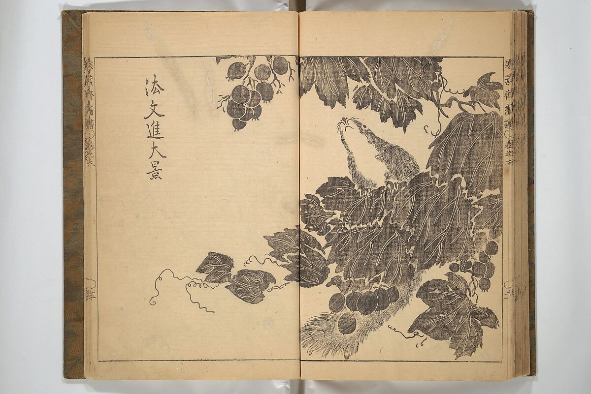 Kan'yōsai Picture Album (Kan'yōsai gafu) 寒葉斎画譜, Kan'yōsai 寒葉斎 (Tatebe Ayatari 建部綾足) (Japanese, 1719–1774), Set of three woodblock printed books; ink on paper, Japan