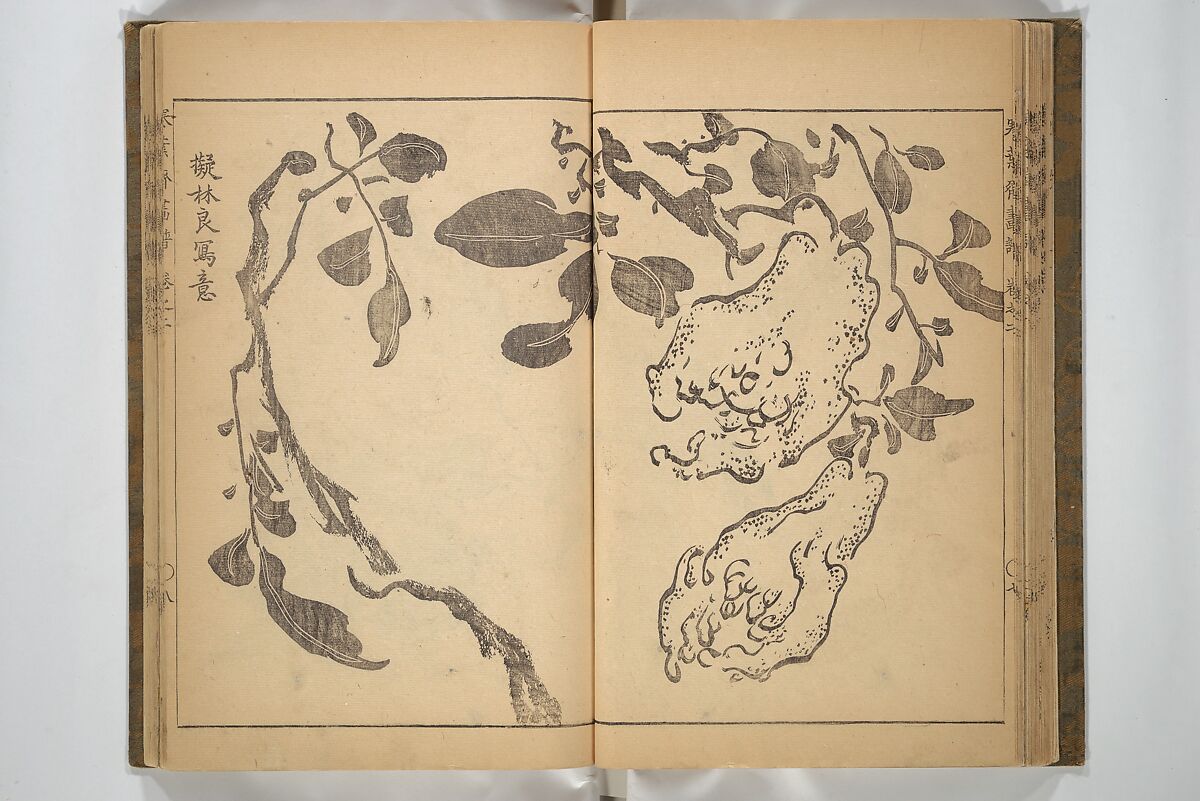 Kan'yōsai Picture Album (Kan'yōsai gafu) 寒葉斎画譜, Kan'yōsai 寒葉斎 (Tatebe Ayatari 建部綾足) (Japanese, 1719–1774), Set of three woodblock printed books; ink on paper, Japan