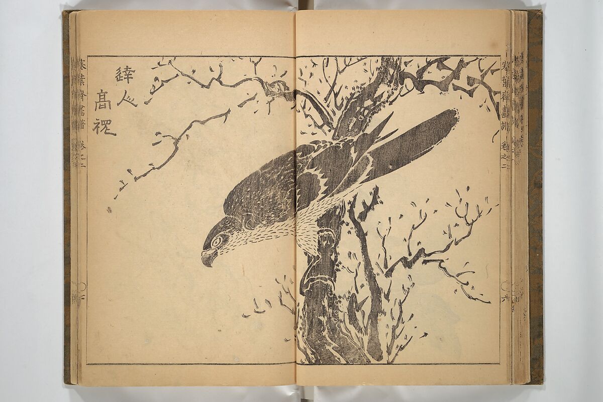 Kan'yōsai Picture Album (Kan'yōsai gafu) 寒葉斎画譜, Kan'yōsai 寒葉斎 (Tatebe Ayatari 建部綾足) (Japanese, 1719–1774), Set of three woodblock printed books; ink on paper, Japan