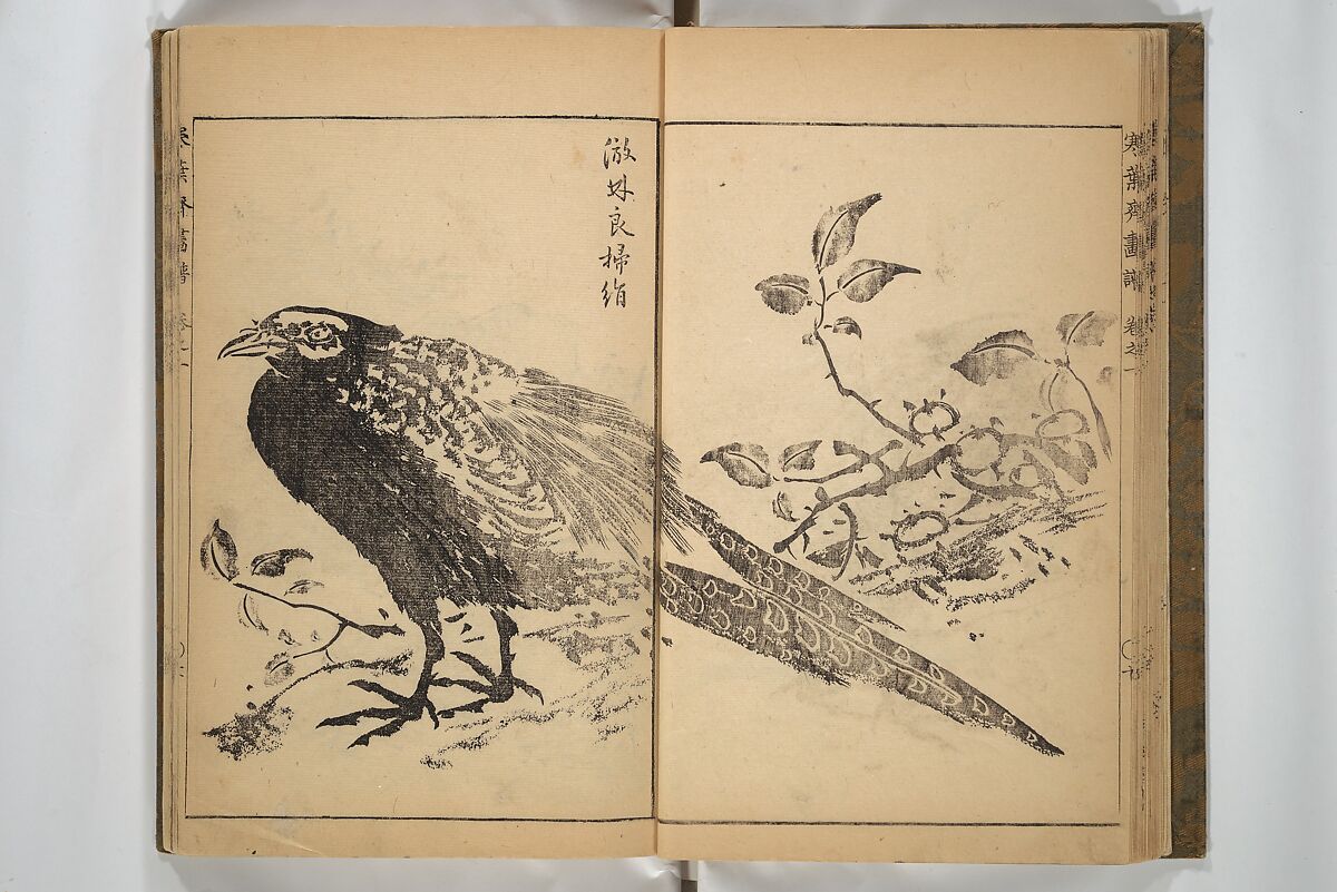 Kan'yōsai Picture Album (Kan'yōsai gafu) 寒葉斎画譜, Kan'yōsai 寒葉斎 (Tatebe Ayatari 建部綾足) (Japanese, 1719–1774), Set of three woodblock printed books; ink on paper, Japan