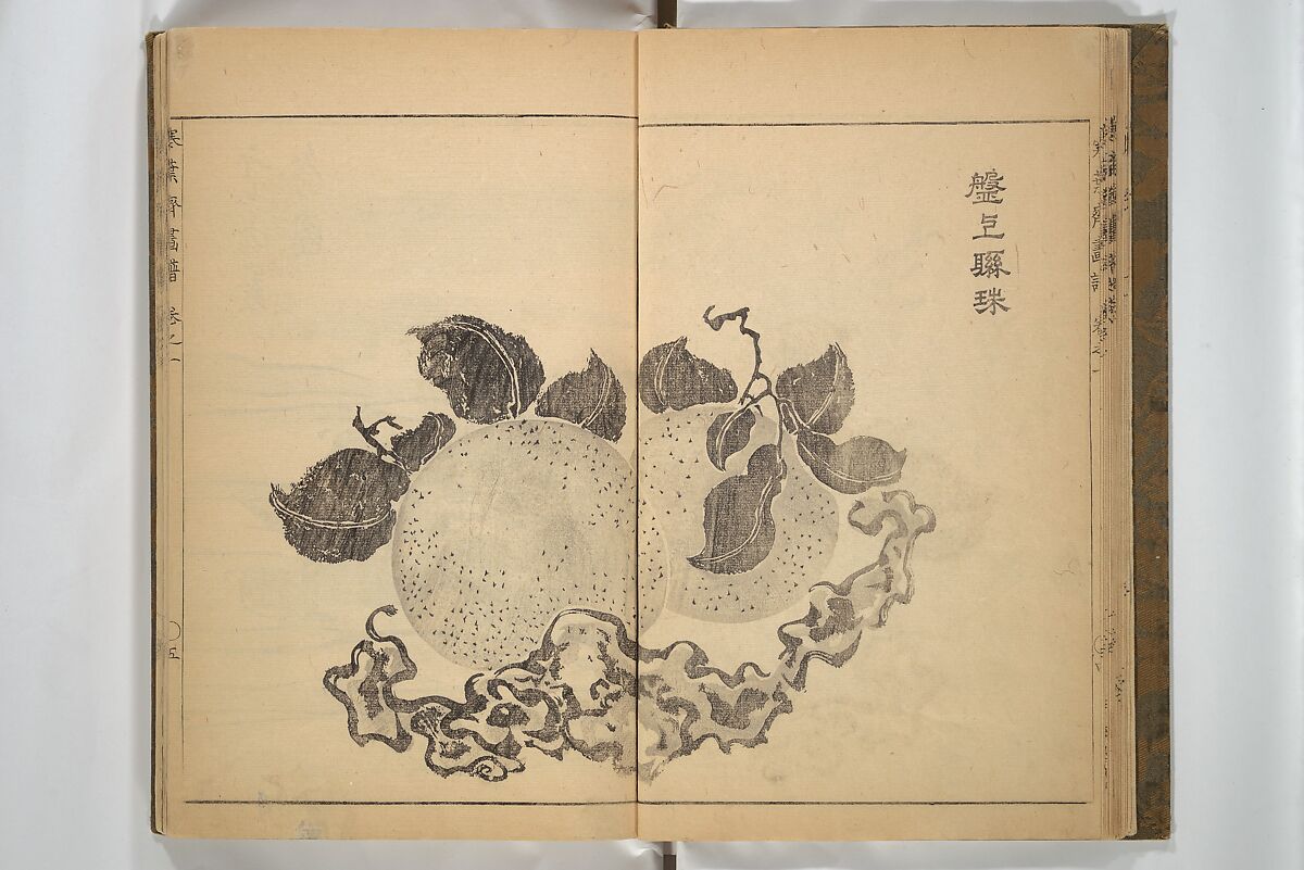 Kan'yōsai Picture Album (Kan'yōsai gafu) 寒葉斎画譜, Kan'yōsai 寒葉斎 (Tatebe Ayatari 建部綾足) (Japanese, 1719–1774), Set of three woodblock printed books; ink on paper, Japan