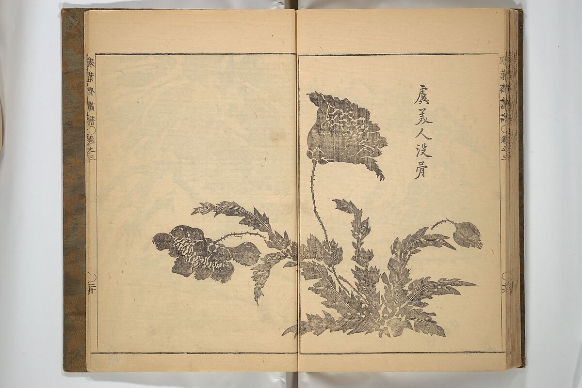 Kan'yōsai Picture Album (Kan'yōsai gafu) 寒葉斎画譜, Kan'yōsai 寒葉斎 (Tatebe Ayatari 建部綾足) (Japanese, 1719–1774), Set of three woodblock printed books; ink on paper, Japan