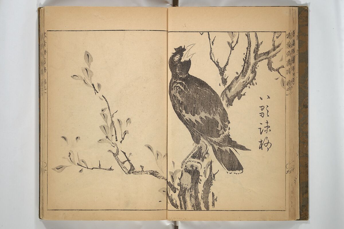 Kan'yōsai Picture Album (Kan'yōsai gafu) 寒葉斎画譜, Kan'yōsai 寒葉斎 (Tatebe Ayatari 建部綾足) (Japanese, 1719–1774), Set of three woodblock printed books; ink on paper, Japan