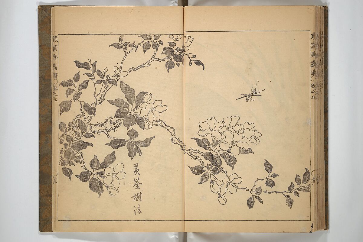 Kan'yōsai Picture Album (Kan'yōsai gafu) 寒葉斎画譜, Kan'yōsai 寒葉斎 (Tatebe Ayatari 建部綾足) (Japanese, 1719–1774), Set of three woodblock printed books; ink on paper, Japan