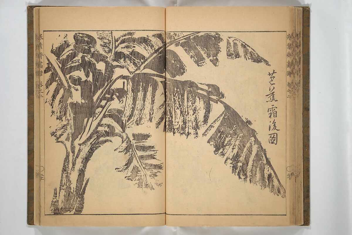 Kan'yōsai Picture Album (Kan'yōsai gafu) 寒葉斎画譜, Kan'yōsai 寒葉斎 (Tatebe Ayatari 建部綾足) (Japanese, 1719–1774), Set of three woodblock printed books; ink on paper, Japan