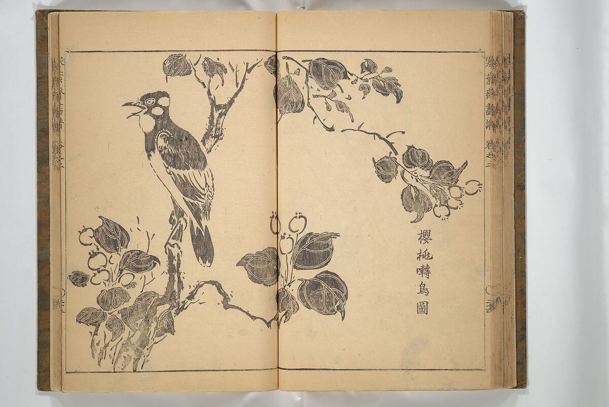 Kan'yōsai Picture Album (Kan'yōsai gafu) 寒葉斎画譜, Kan'yōsai 寒葉斎 (Tatebe Ayatari 建部綾足) (Japanese, 1719–1774), Set of three woodblock printed books; ink on paper, Japan