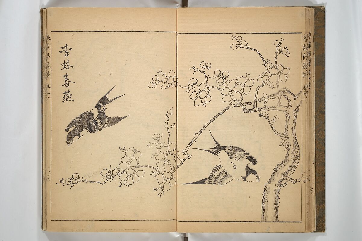Kan'yōsai Picture Album (Kan'yōsai gafu) 寒葉斎画譜, Kan'yōsai 寒葉斎 (Tatebe Ayatari 建部綾足) (Japanese, 1719–1774), Set of three woodblock printed books; ink on paper, Japan