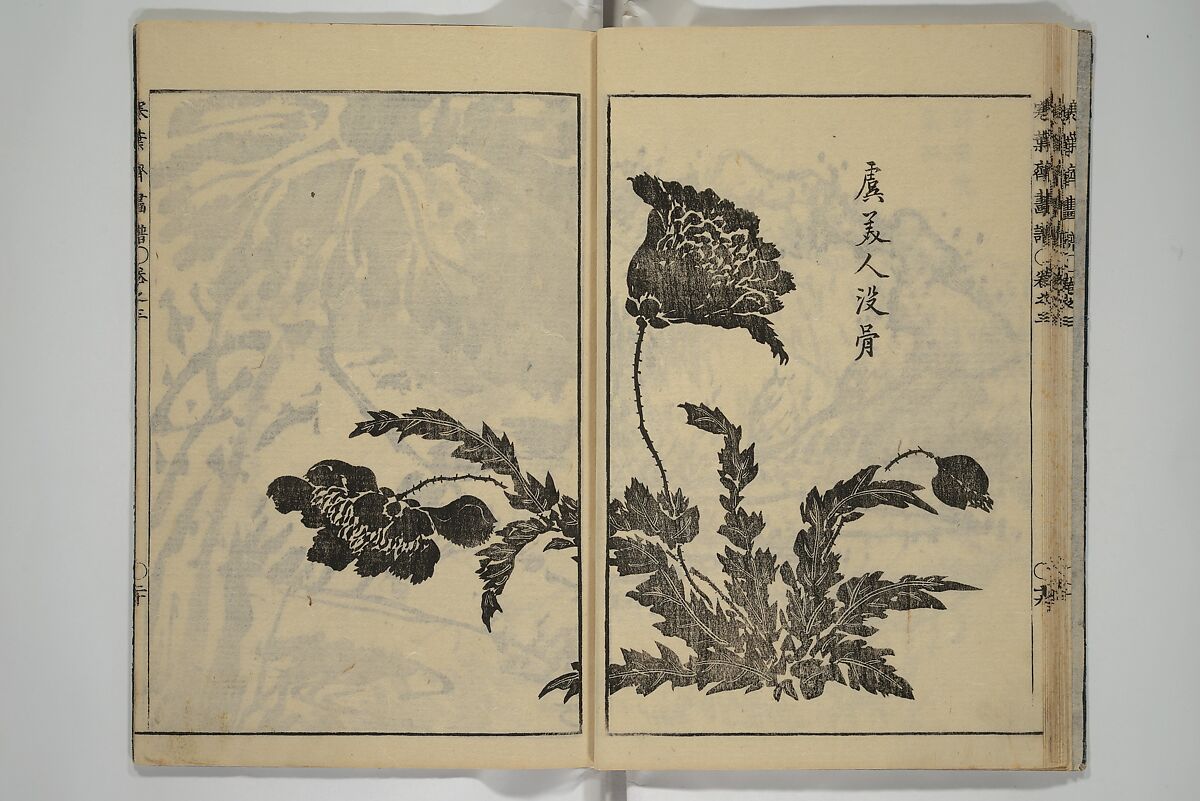 Kan'yōsai Picture Album (Kan'yōsai gafu) 寒葉斎画譜, Kan'yōsai 寒葉斎 (Tatebe Ayatari 建部綾足) (Japanese, 1719–1774), Set of five woodblock printed books; ink on paper, Japan