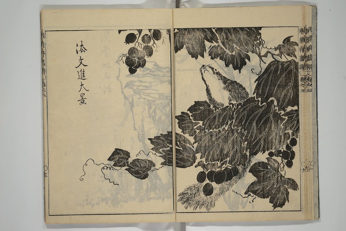 Kan'yōsai Picture Album (Kan'yōsai gafu) 寒葉斎画譜, Kan'yōsai 寒葉斎 (Tatebe Ayatari 建部綾足) (Japanese, 1719–1774), Set of five woodblock printed books; ink on paper, Japan