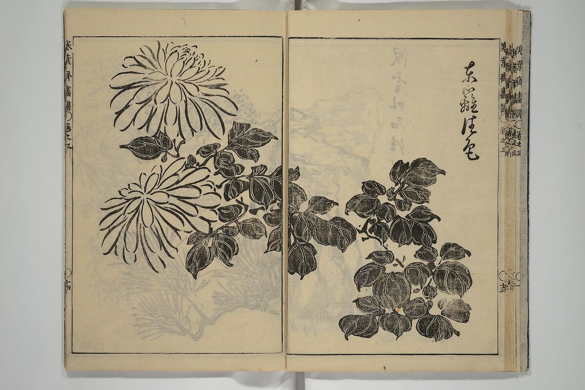 Kan'yōsai Picture Album (Kan'yōsai gafu) 寒葉斎画譜, Kan'yōsai 寒葉斎 (Tatebe Ayatari 建部綾足) (Japanese, 1719–1774), Set of five woodblock printed books; ink on paper, Japan