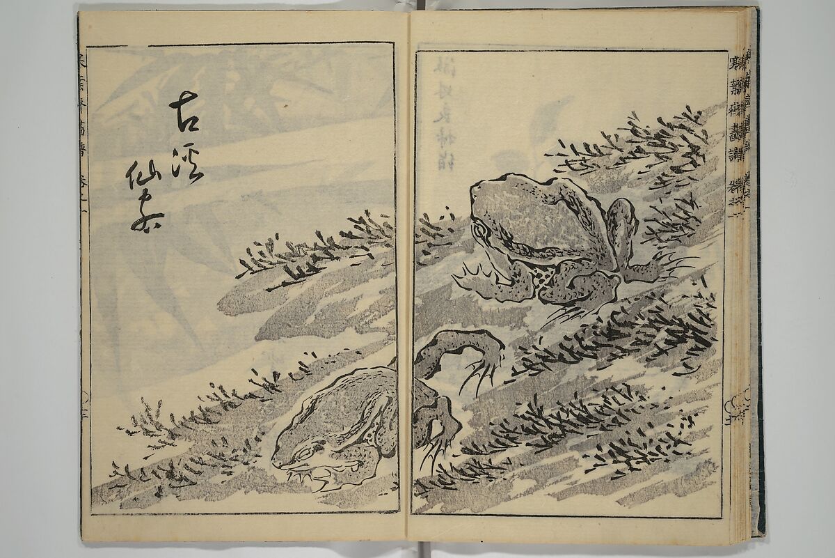 Kan'yōsai Picture Album (Kan'yōsai gafu) 寒葉斎画譜, Kan'yōsai 寒葉斎 (Tatebe Ayatari 建部綾足) (Japanese, 1719–1774), Set of five woodblock printed books; ink on paper, Japan