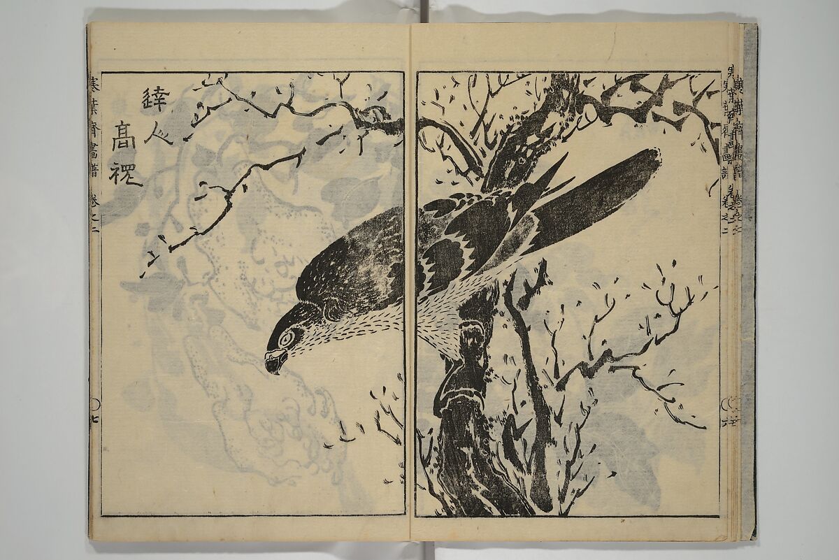 Kan'yōsai Picture Album (Kan'yōsai gafu) 寒葉斎画譜, Kan'yōsai 寒葉斎 (Tatebe Ayatari 建部綾足) (Japanese, 1719–1774), Set of five woodblock printed books; ink on paper, Japan