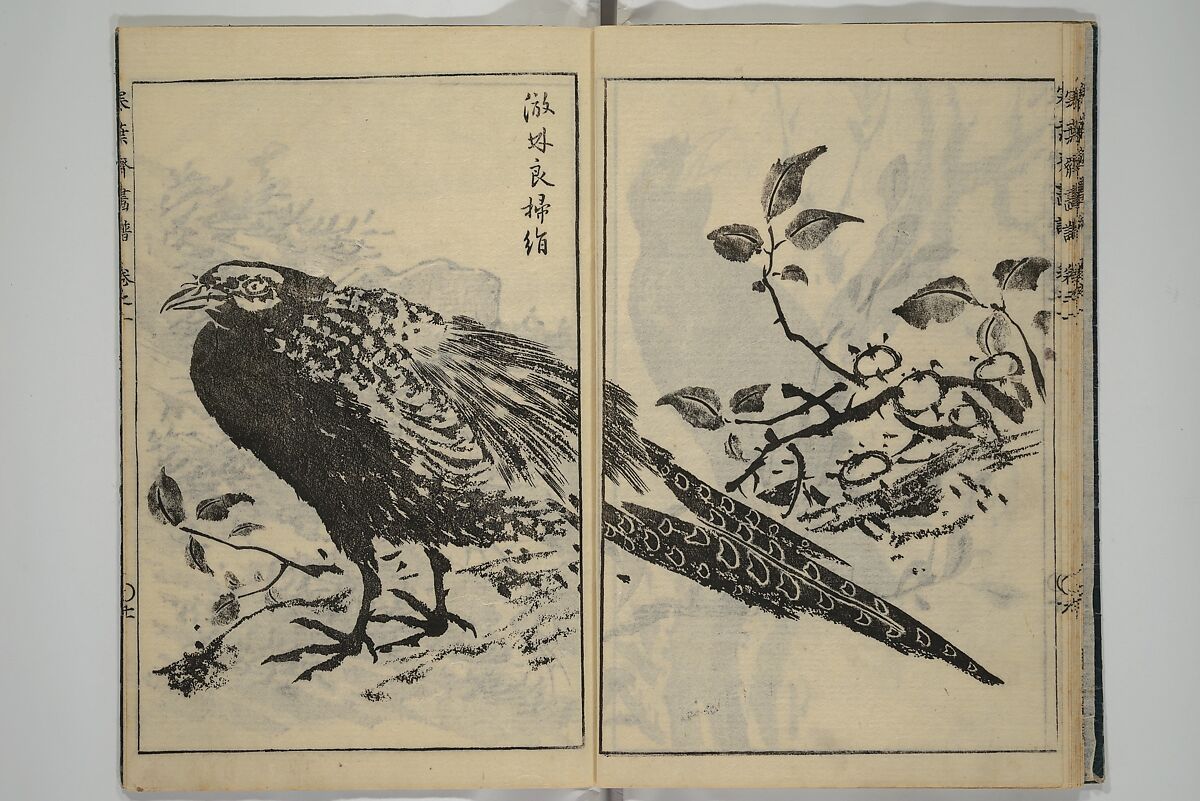 Kan'yōsai Picture Album (Kan'yōsai gafu) 寒葉斎画譜, Kan'yōsai 寒葉斎 (Tatebe Ayatari 建部綾足) (Japanese, 1719–1774), Set of five woodblock printed books; ink on paper, Japan