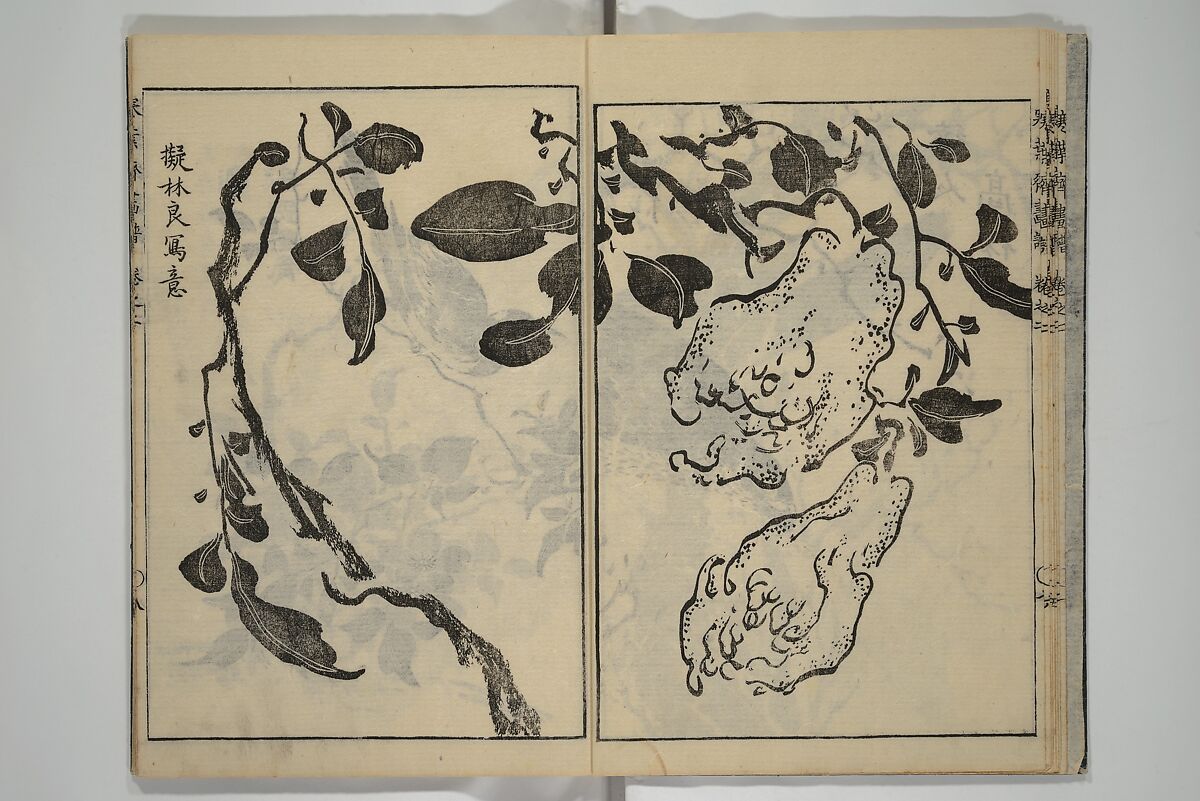 Kan'yōsai Picture Album (Kan'yōsai gafu) 寒葉斎画譜, Kan'yōsai 寒葉斎 (Tatebe Ayatari 建部綾足) (Japanese, 1719–1774), Set of five woodblock printed books; ink on paper, Japan