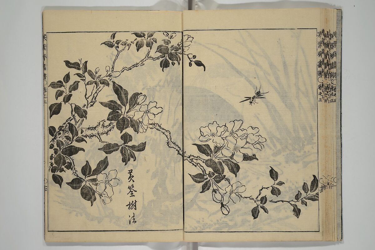 Kan'yōsai Picture Album (Kan'yōsai gafu) 寒葉斎画譜, Kan'yōsai 寒葉斎 (Tatebe Ayatari 建部綾足) (Japanese, 1719–1774), Set of five woodblock printed books; ink on paper, Japan