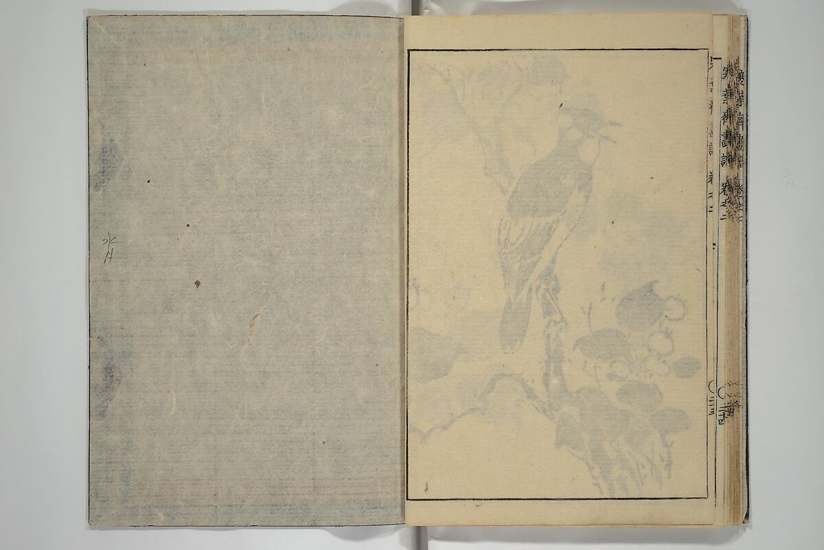 Kan'yōsai Picture Album (Kan'yōsai gafu) 寒葉斎画譜, Kan'yōsai 寒葉斎 (Tatebe Ayatari 建部綾足) (Japanese, 1719–1774), Set of five woodblock printed books; ink on paper, Japan