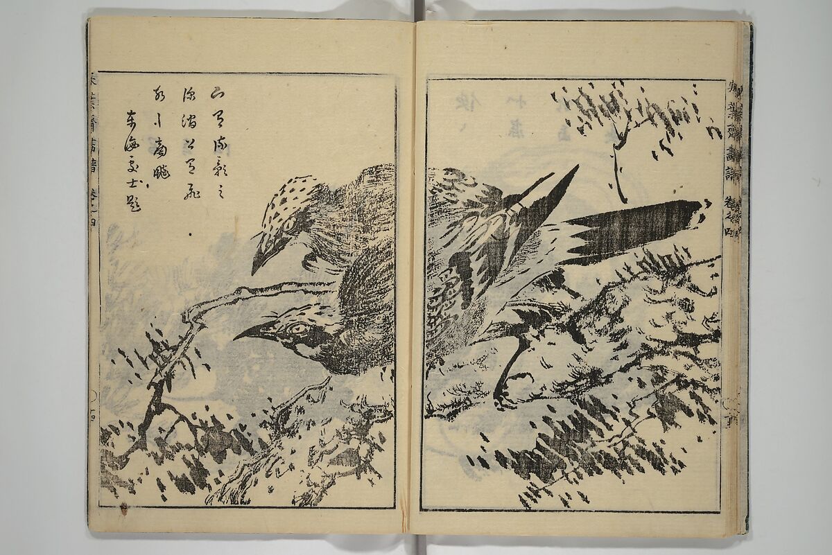 Kan'yōsai Picture Album (Kan'yōsai gafu) 寒葉斎画譜, Kan'yōsai 寒葉斎 (Tatebe Ayatari 建部綾足) (Japanese, 1719–1774), Set of five woodblock printed books; ink on paper, Japan