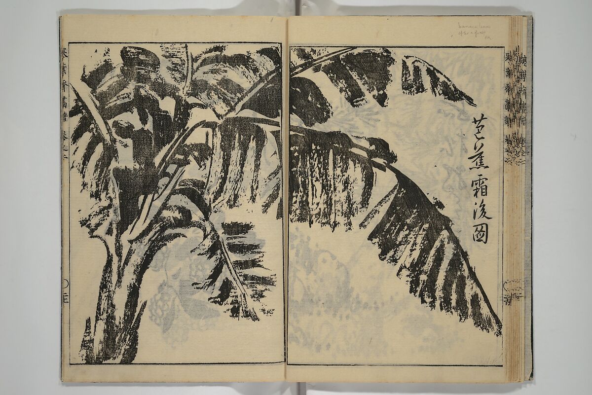 Kan'yōsai Picture Album (Kan'yōsai gafu) 寒葉斎画譜, Kan'yōsai 寒葉斎 (Tatebe Ayatari 建部綾足) (Japanese, 1719–1774), Set of five woodblock printed books; ink on paper, Japan