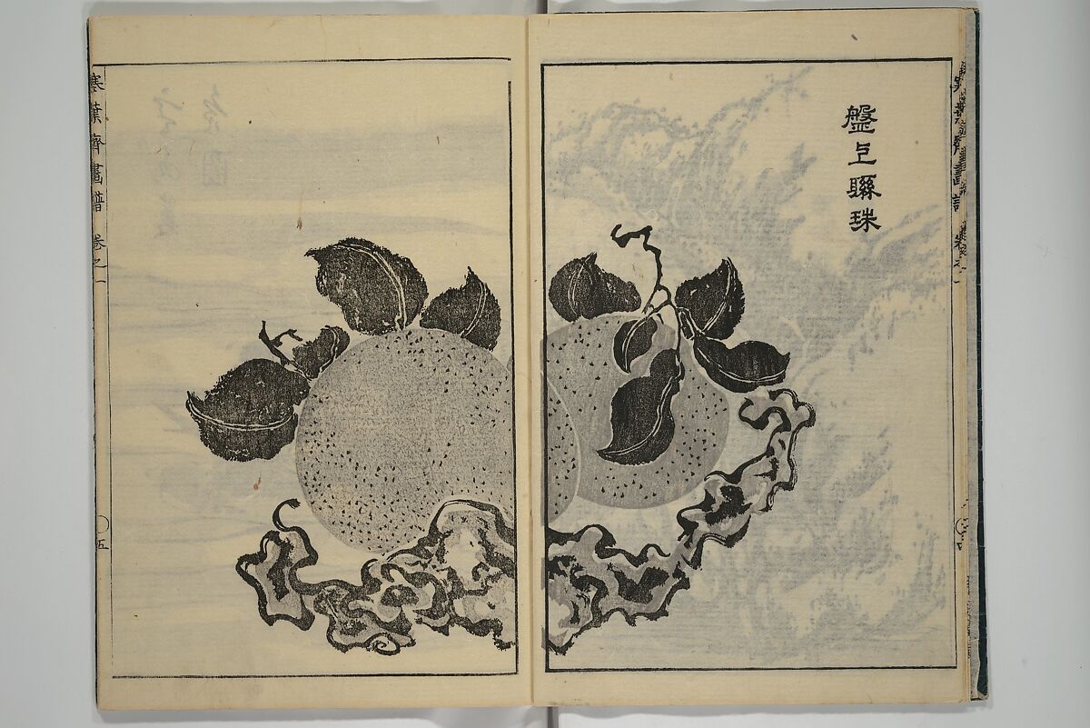 Kan'yōsai Picture Album (Kan'yōsai gafu) 寒葉斎画譜, Kan'yōsai 寒葉斎 (Tatebe Ayatari 建部綾足) (Japanese, 1719–1774), Set of five woodblock printed books; ink on paper, Japan