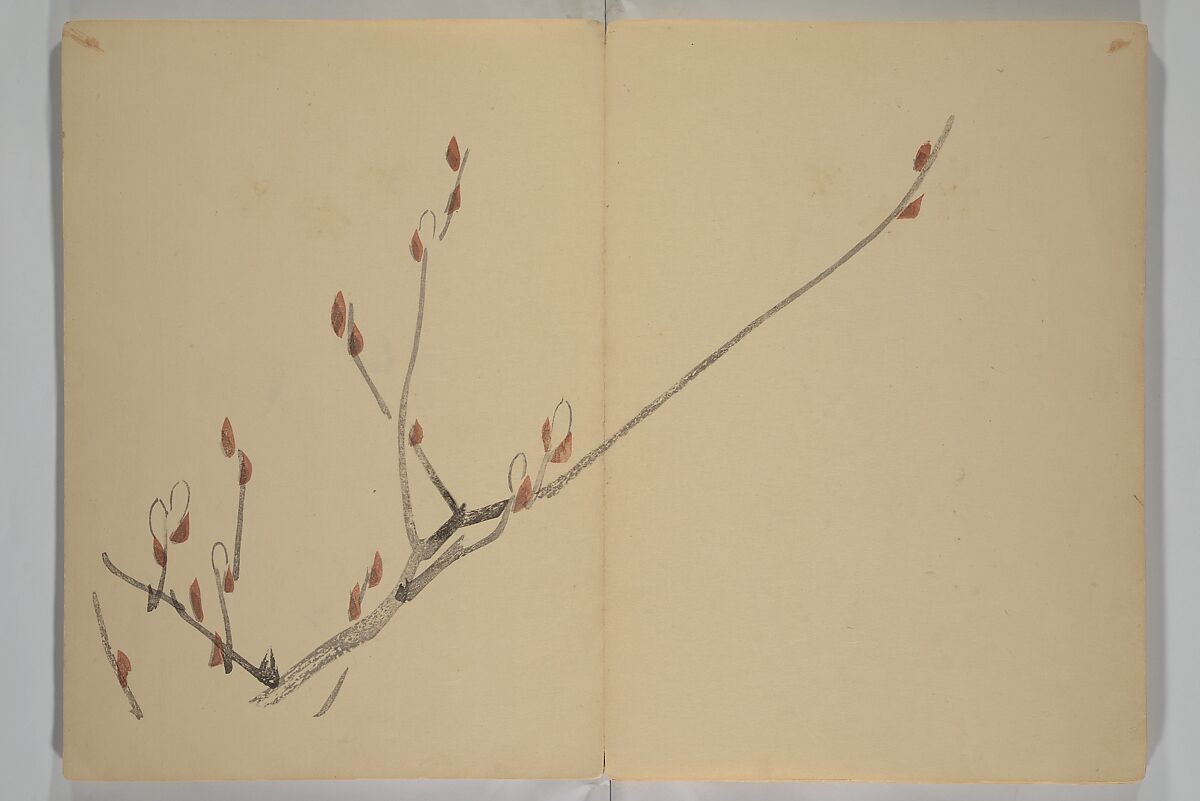 Kinkadō's Album of Drawings by Keibun (Keibun Kinka chō) 景文錦華帖, Matsumura Keibun 松村景文 (Japanese, 1779–1843), Woodblock printed book (orihon, accordion-style); ink and color on paper, Japan