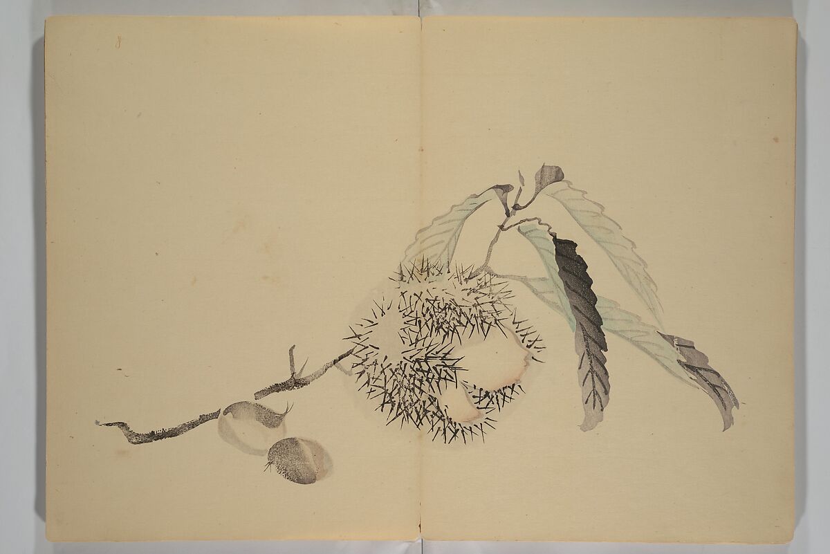 Kinkadō's Album of Drawings by Keibun (Keibun Kinka chō) 景文錦華帖, Matsumura Keibun 松村景文 (Japanese, 1779–1843), Woodblock printed book (orihon, accordion-style); ink and color on paper, Japan
