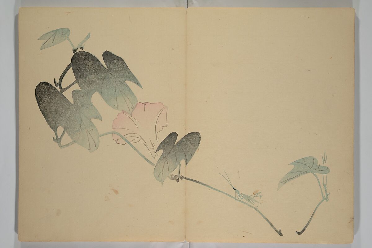 Kinkadō's Album of Drawings by Keibun (Keibun Kinka chō) 景文錦華帖, Matsumura Keibun 松村景文 (Japanese, 1779–1843), Woodblock printed book (orihon, accordion-style); ink and color on paper, Japan