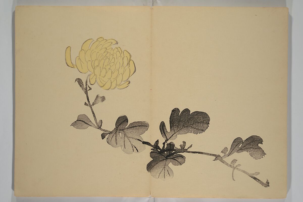 Kinkadō's Album of Drawings by Keibun (Keibun Kinka chō) 景文錦華帖, Matsumura Keibun 松村景文 (Japanese, 1779–1843), Woodblock printed book (orihon, accordion-style); ink and color on paper, Japan