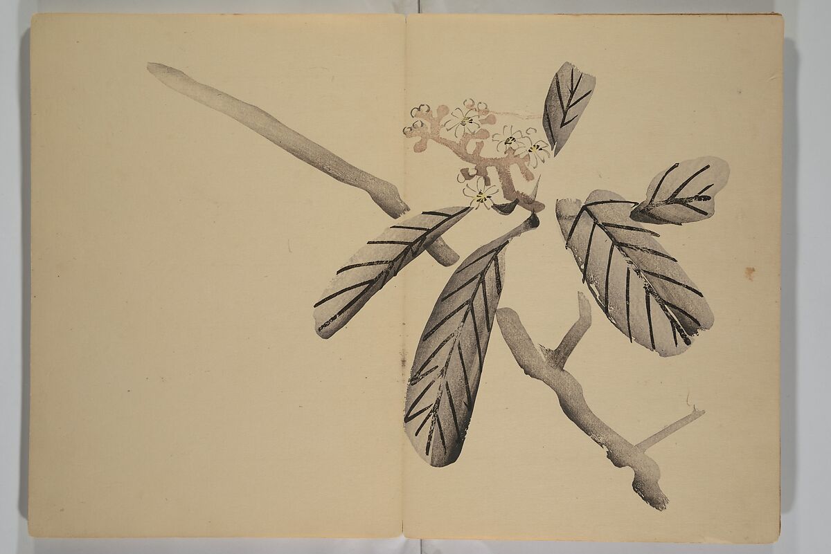 Kinkadō's Album of Drawings by Keibun (Keibun Kinka chō) 景文錦華帖, Matsumura Keibun 松村景文 (Japanese, 1779–1843), Woodblock printed book (orihon, accordion-style); ink and color on paper, Japan