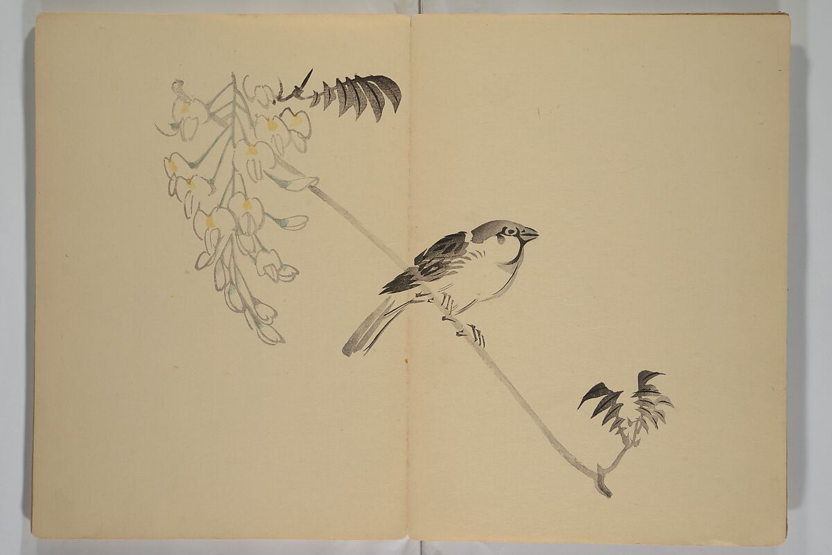 Kinkadō's Album of Drawings by Keibun (Keibun Kinka chō) 景文錦華帖, Matsumura Keibun 松村景文 (Japanese, 1779–1843), Woodblock printed book (orihon, accordion-style); ink and color on paper, Japan