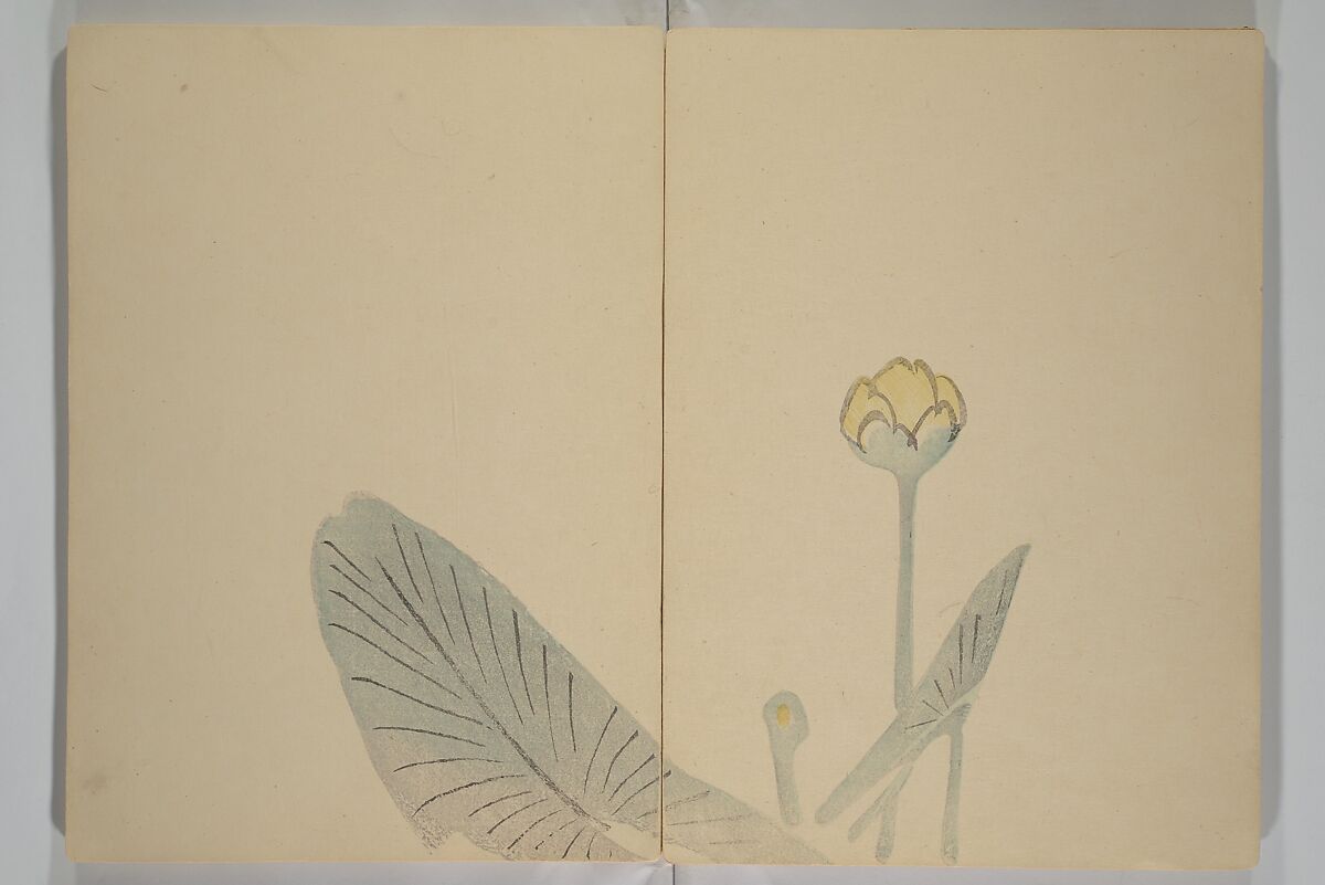 Kinkadō's Album of Drawings by Keibun (Keibun Kinka chō) 景文錦華帖, Matsumura Keibun 松村景文 (Japanese, 1779–1843), Woodblock printed book (orihon, accordion-style); ink and color on paper, Japan
