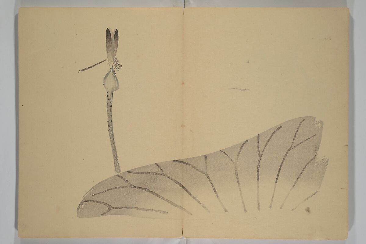 Kinkadō's Album of Drawings by Keibun (Keibun Kinka chō) 景文錦華帖, Matsumura Keibun 松村景文 (Japanese, 1779–1843), Woodblock printed book (orihon, accordion-style); ink and color on paper, Japan