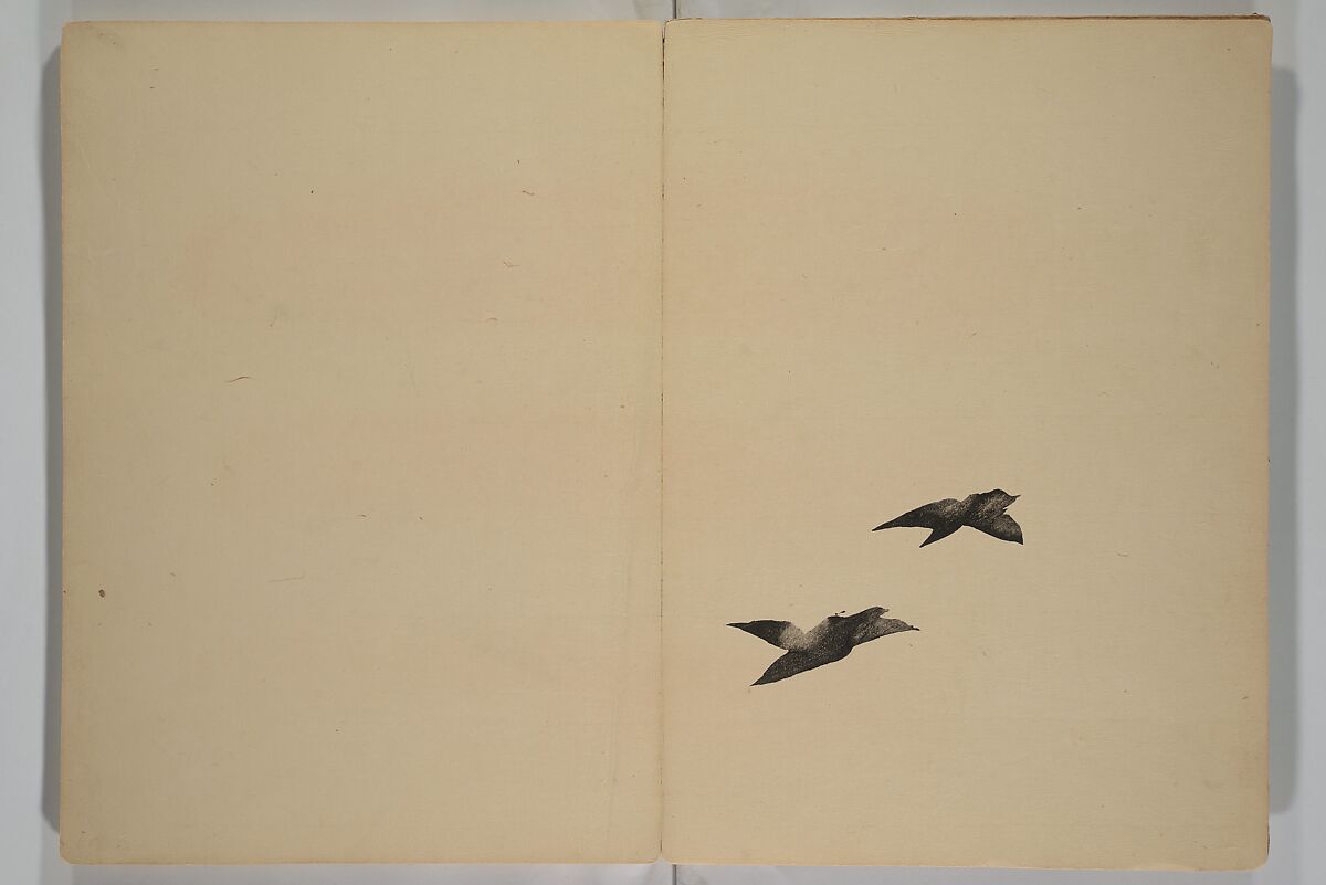 Kinkadō's Album of Drawings by Keibun (Keibun Kinka chō) 景文錦華帖, Matsumura Keibun 松村景文 (Japanese, 1779–1843), Woodblock printed book (orihon, accordion-style); ink and color on paper, Japan
