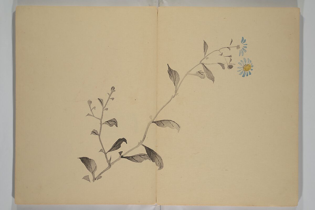 Kinkadō's Album of Drawings by Keibun (Keibun Kinka chō) 景文錦華帖, Matsumura Keibun 松村景文 (Japanese, 1779–1843), Woodblock printed book (orihon, accordion-style); ink and color on paper, Japan