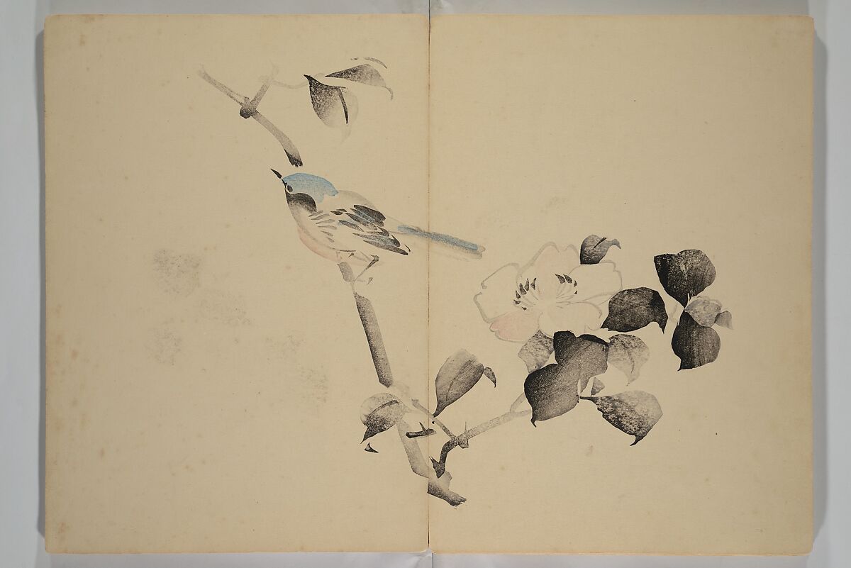 Kinkadō's Album of Drawings by Keibun (Keibun Kinka chō) 景文錦華帖, Matsumura Keibun 松村景文 (Japanese, 1779–1843), Woodblock printed book (orihon, accordion-style); ink and color on paper, Japan