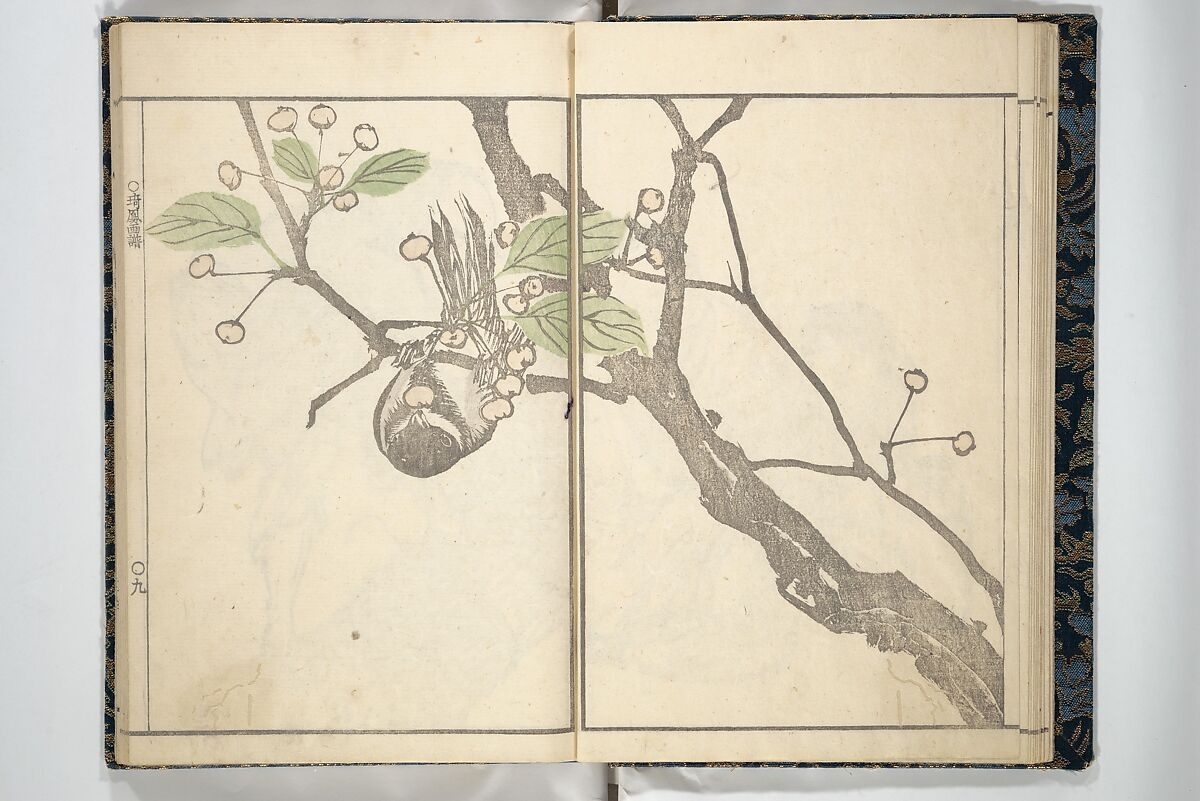 Kihō Picture Album (Kihō gafu) 埼鳳画譜, Kawamura Kihō 河村琦鳳 (Japanese, 1778–1852), Woodblock printed book; ink and color on paper, Japan