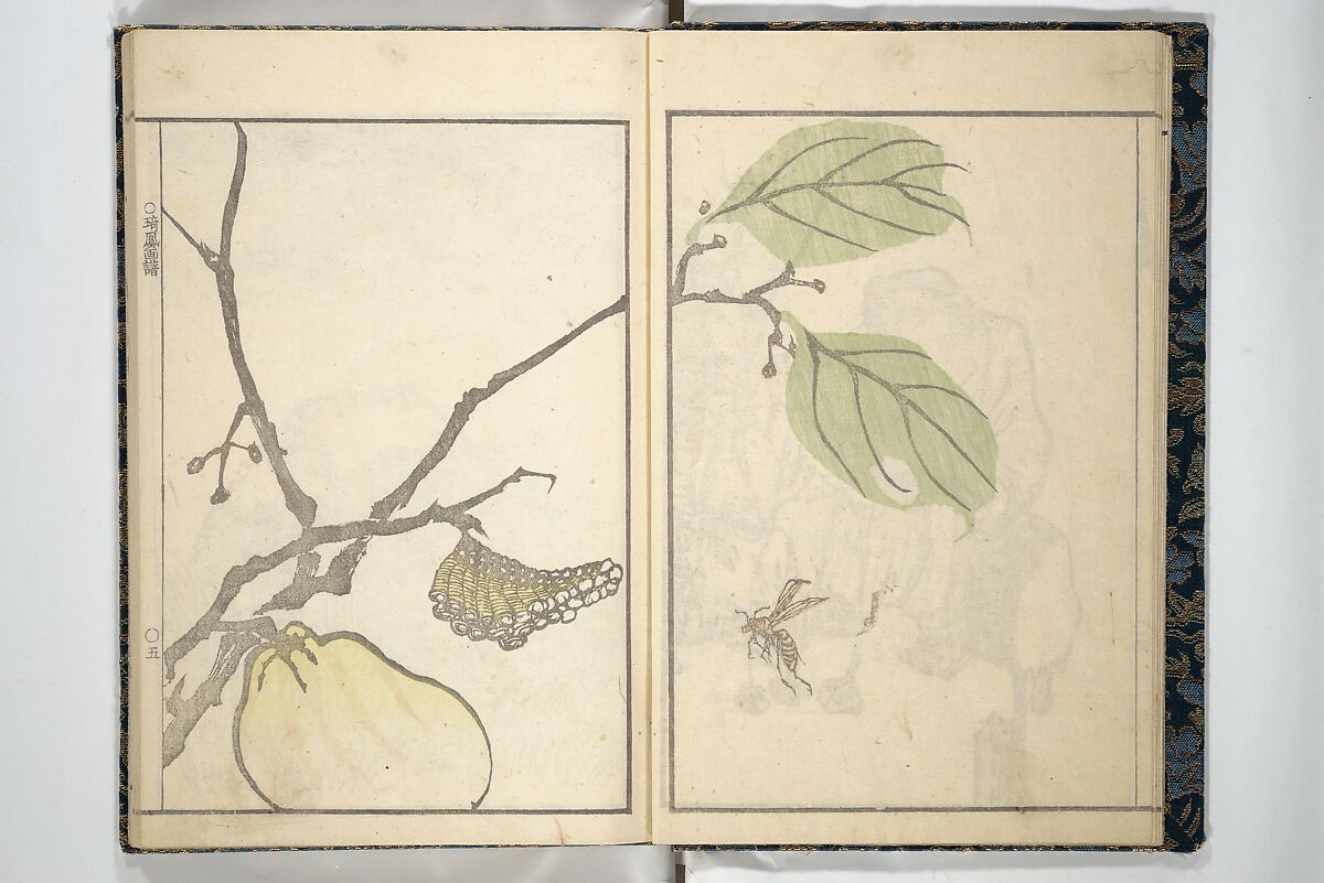 Kihō Picture Album (Kihō gafu) 埼鳳画譜, Kawamura Kihō 河村琦鳳 (Japanese, 1778–1852), Woodblock printed book; ink and color on paper, Japan