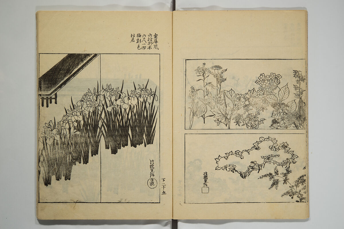 One Hundred Paintings by Kōrin (Kōrin hyakuzu)  光琳百圖, Sakai Hōitsu 酒井抱一 (Japanese, 1761–1828), Set of four woodblock printed books; ink on paper, Japan