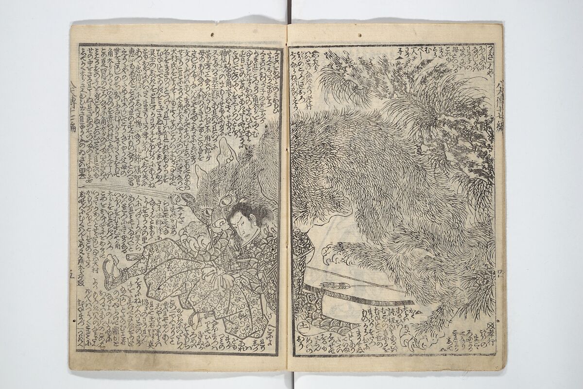 Tale of Eight Dogs (Hakkenden)  八犬伝;, Utagawa Kuniyoshi 歌川國芳 (Japanese, 1797–1861), Set of two woodblock printed books; ink and color on paper, Japan