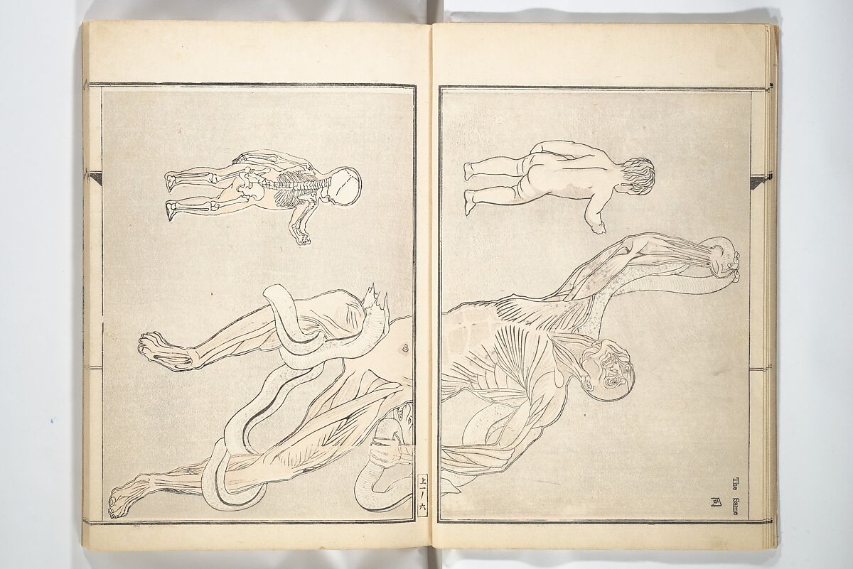Kyōsai’s Treatise on Painting (Kyōsai gadan) 暁斎画談, Kawanabe Kyōsai 河鍋暁斎 (Japanese, 1831–1889), Set of four woodblock printed books; ink and color on paper, Japan
