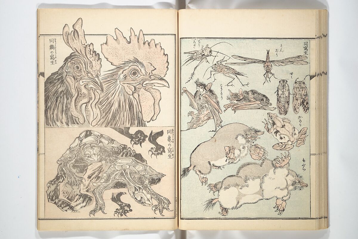 Kyōsai’s Treatise on Painting (Kyōsai gadan) 暁斎画談, Kawanabe Kyōsai 河鍋暁斎 (Japanese, 1831–1889), Set of four woodblock printed books; ink and color on paper, Japan