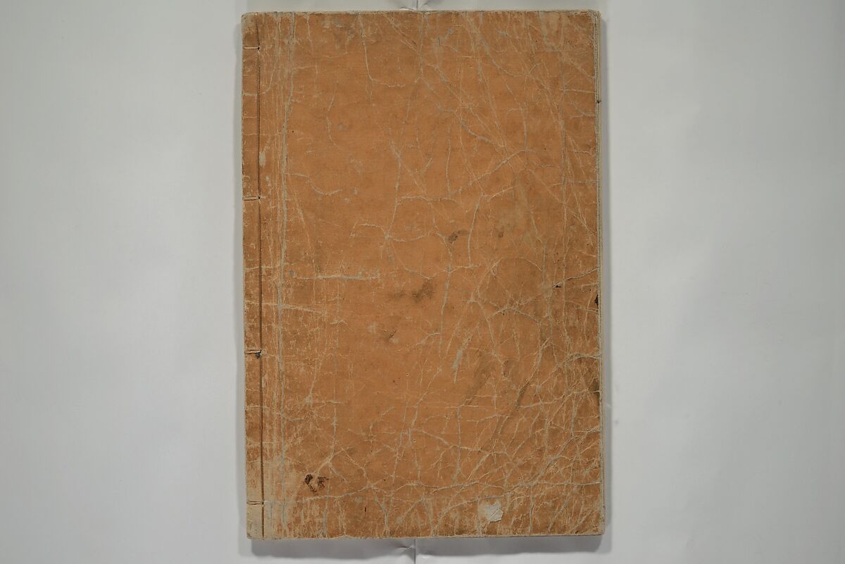 How to Draw Birds, Insects and Fish Simply (Chōjū ryakugashiki) 鳥獣略画式, Kuwagata Keisai 鍬形蕙斎 (Japanese, 1764–1824), Woodblock printed book; ink and color on paper, Japan