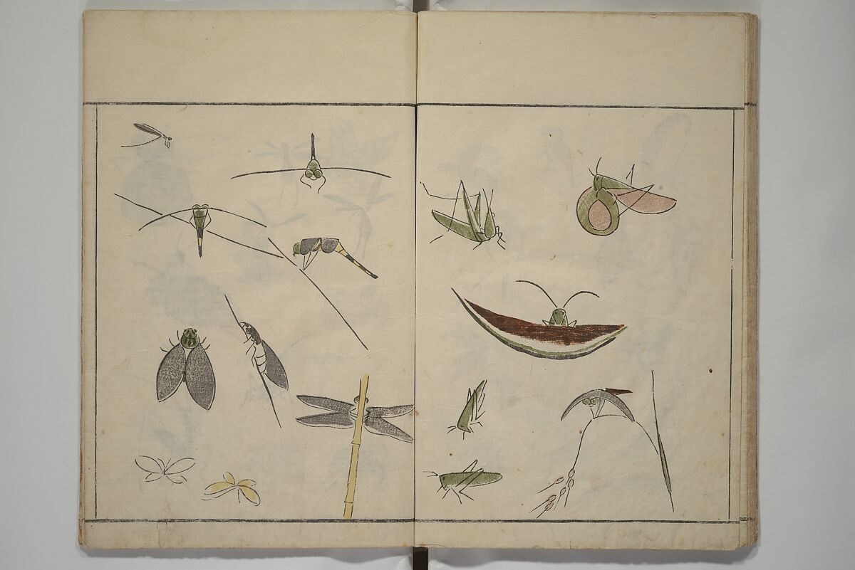 How to Draw Birds, Insects and Fish Simply (Chōjū ryakugashiki) 鳥獣略画式, Kuwagata Keisai 鍬形蕙斎 (Japanese, 1764–1824), Woodblock printed book; ink and color on paper, Japan