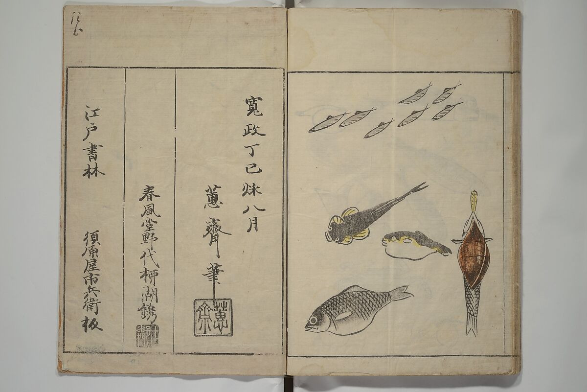 How to Draw Birds, Insects and Fish Simply (Chōjū ryakugashiki) 鳥獣略画式, Kuwagata Keisai 鍬形蕙斎 (Japanese, 1764–1824), Woodblock printed book; ink and color on paper, Japan