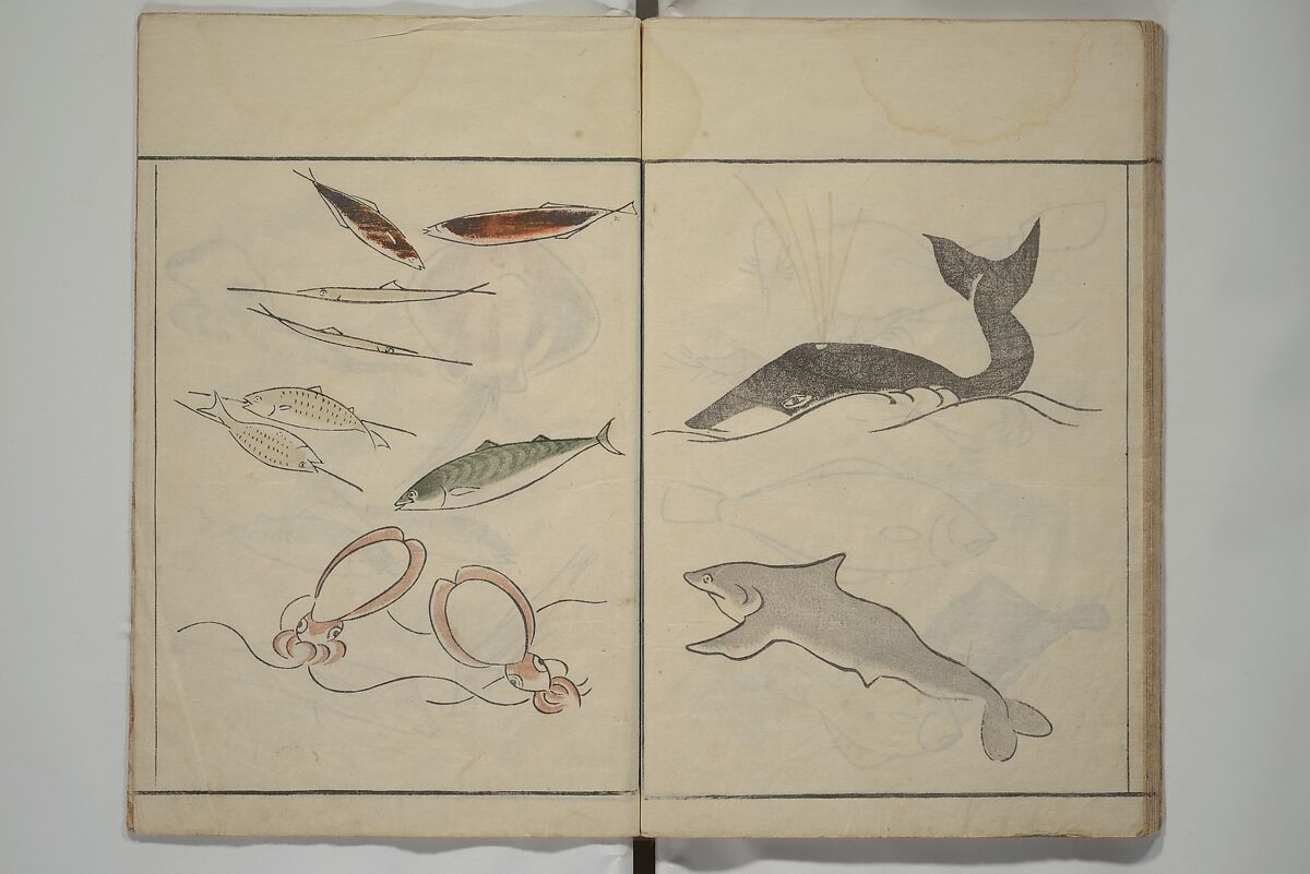 How to Draw Birds, Insects and Fish Simply (Chōjū ryakugashiki) 鳥獣略画式, Kuwagata Keisai 鍬形蕙斎 (Japanese, 1764–1824), Woodblock printed book; ink and color on paper, Japan