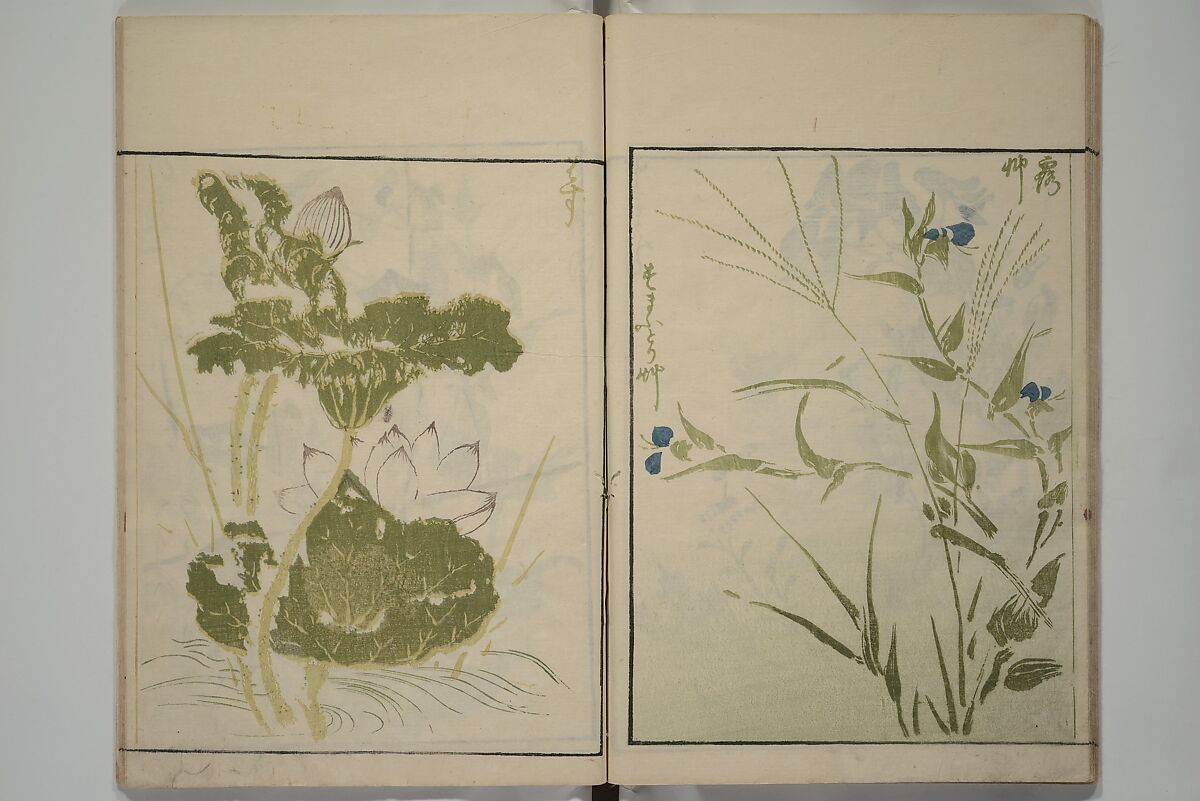 How to Draw Plants and Flowers Simply (Sōka ryakugashiki) 草花略画式, Kuwagata Keisai 鍬形蕙斎 (Japanese, 1764–1824), Woodblock printed book; ink and color on paper, Japan