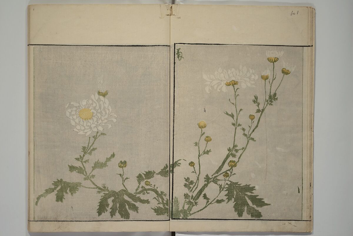 How to Draw Plants and Flowers Simply (Sōka ryakugashiki) 草花略画式, Kuwagata Keisai 鍬形蕙斎 (Japanese, 1764–1824), Woodblock printed book; ink and color on paper, Japan