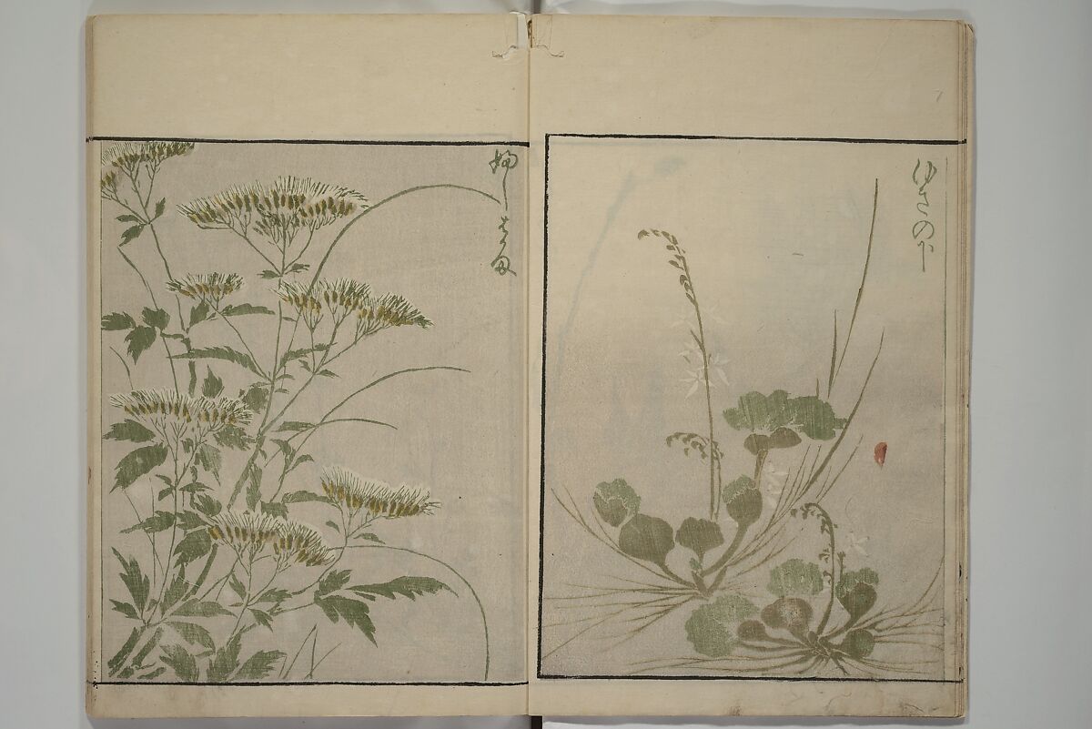 How to Draw Plants and Flowers Simply (Sōka ryakugashiki) 草花略画式, Kuwagata Keisai 鍬形蕙斎 (Japanese, 1764–1824), Woodblock printed book; ink and color on paper, Japan