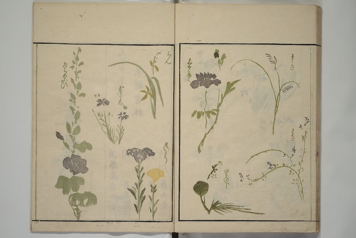How to Draw Plants and Flowers Simply (Sōka ryakugashiki) 草花略画式, Kuwagata Keisai 鍬形蕙斎 (Japanese, 1764–1824), Woodblock printed book; ink and color on paper, Japan